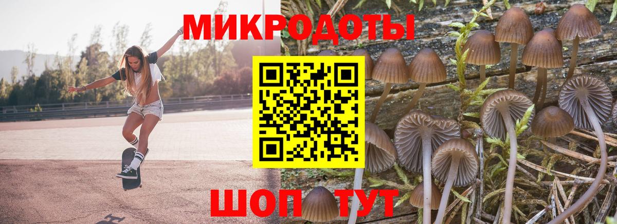 Псилоцибиновые грибы прущие грибы Ейск