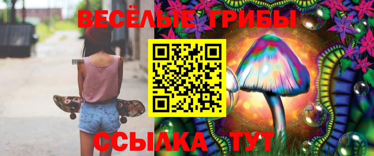 Псилоцибиновые грибы MAGIC MUSHROOMS  Вход с VPN  Ейск 